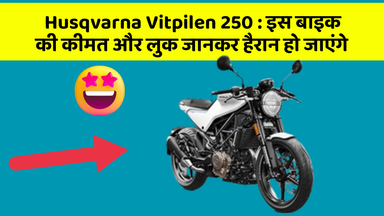 Husqvarna Vitpilen 250: इस बाइक की कीमत और लुक जानकर हैरान हो जाएंगे